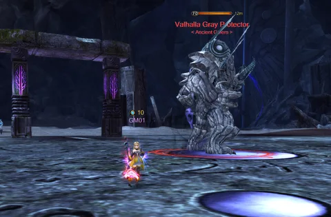 Valhalla Gray Protector